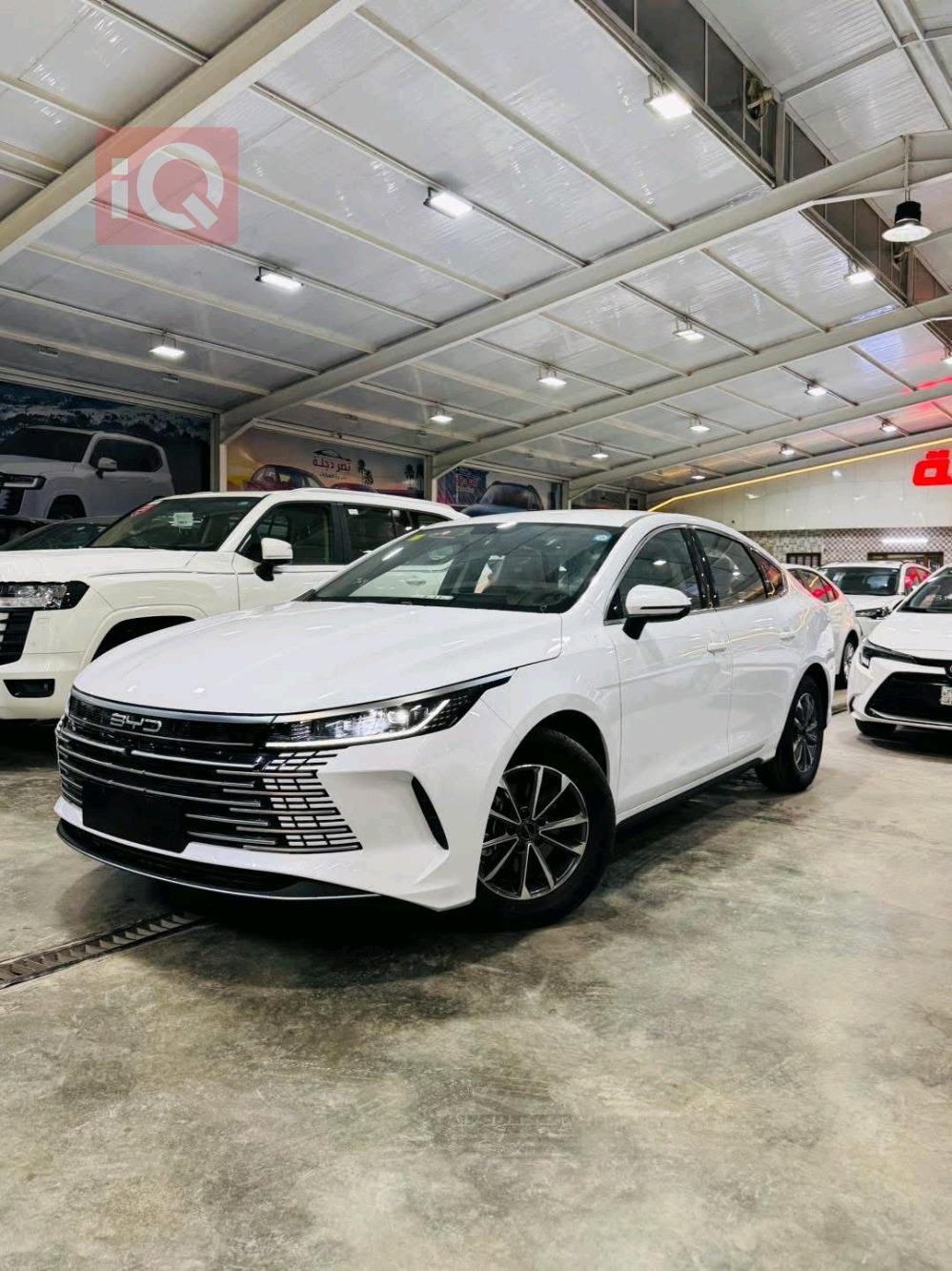 بي واي دي ديستروير 05